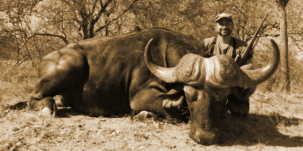 Tennessee Wild Boar header pic